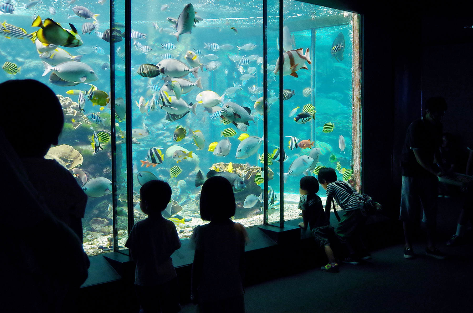 串本海中公園センター_本文用